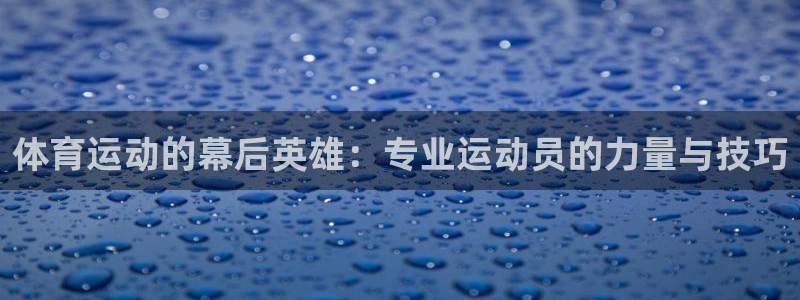 77体育官网