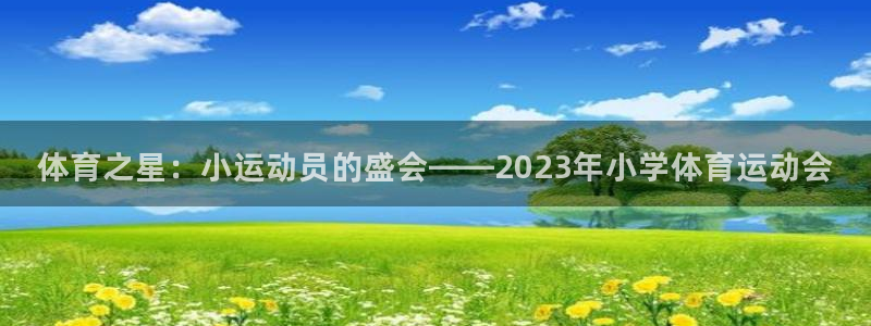 77体育app下载官网