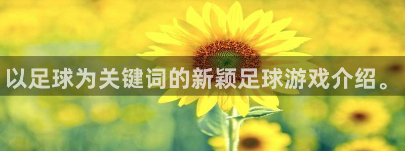 77体育