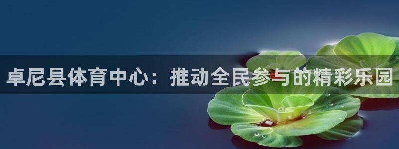 77体育