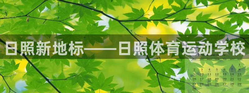 77体育官网