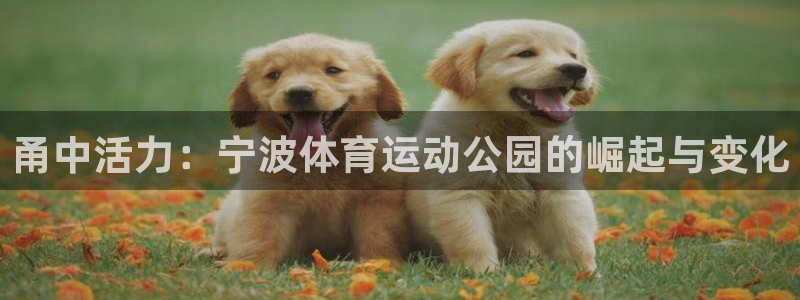 77体育官网