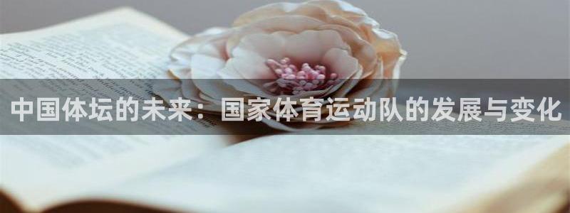77体育官网