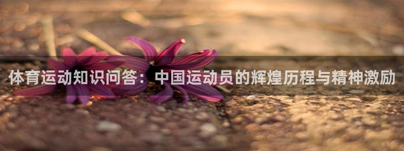 77体育官网