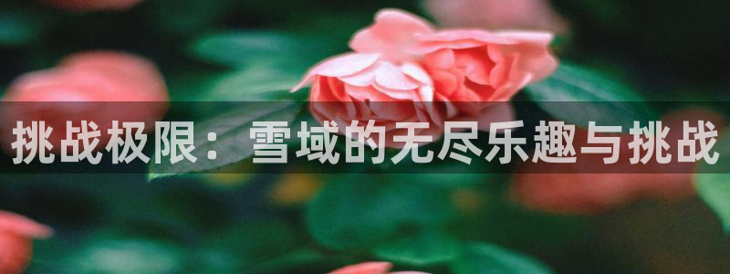 77体育